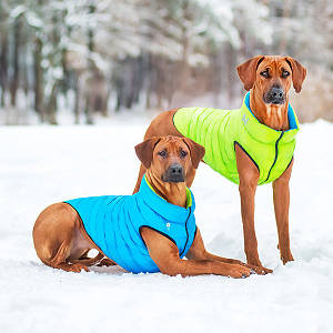 Куртка Airy Vest 8 кольорів жилет двосторонній для собак