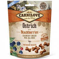 Carnilove Dog Crunchy Snacks Ostrich with Blackberries Лакомство для собак страус, ежевика, 200г