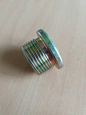 Пробка масляного піддону FT94717/4847102, фото 4