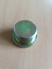 Пробка масляного піддону FT94717/4847102, фото 2