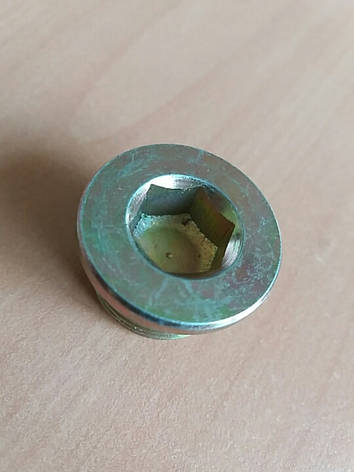 Пробка масляного піддону FT94717/4847102, фото 1