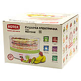 Сушка для овочів та фруктів Rotex RD-310-Y (Ротекс), фото 3