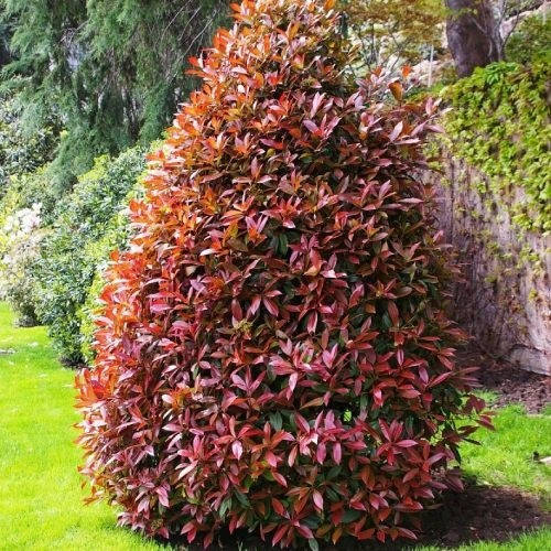 Моншадағы киім ауыстыратын бөлмедегі порно