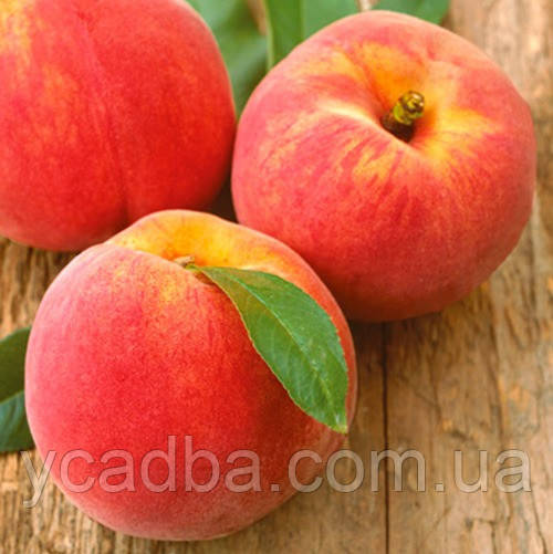Персик Рилайнс (середньостиглий)