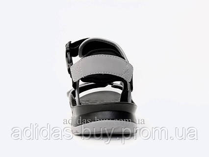F36369 best sale