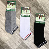 Носки женские хлопок с сеткой короткие Monteks Socks, 35-41 размер, ассорти, 243