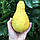 Лимон Грушеподібний Перетта (Citrus limon Peretta) 30-35 см. Кімнатний, фото 3