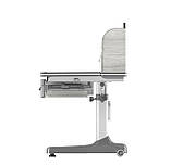 парта, що росте, для школярів Cubby Ammi Grey, фото 4