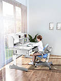 парта, що росте, для школярів Cubby Ammi Grey, фото 9