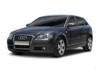 Audi A3 8P 2004-2012