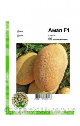 Насіння Диня Амаль F1, 50 насіння Clause Агропак, фото 1