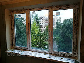 Тристулкове вікно WDS 5 Series, фото 2