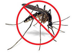 Захист від комарів і комах