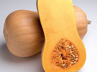 Гарбуз Матільда F1/ Matilda Enza Zaden, 500 насінин