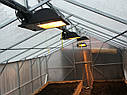 Теплиця Мітлайдер 3х8 преміум 10 мм, фото 6