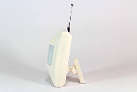 Датчик руху для GSM СИГНАЛІЗАЦІЯ HW 01 (433 MH)