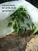 Укривний матеріал Агротекс