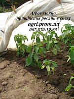 Захист рослин від бур'янів, заморозків, опіків, методи та засоби захисту рослин