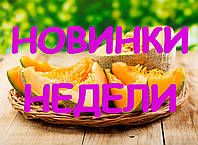 НОВИНКИ НА САЙТЕ