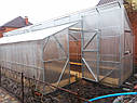Теплиця Мітлайдер 4х8 преміум 4 мм, фото 2