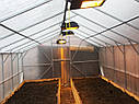 Теплиця Мітлайдер 4х8 преміум 4 мм, фото 6
