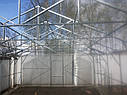 Теплиці Мітлайдер 4х10 стандарт 6 мм, фото 4