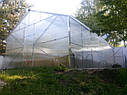 Теплиці Мітлайдер 4х10 стандарт 6 мм, фото 5