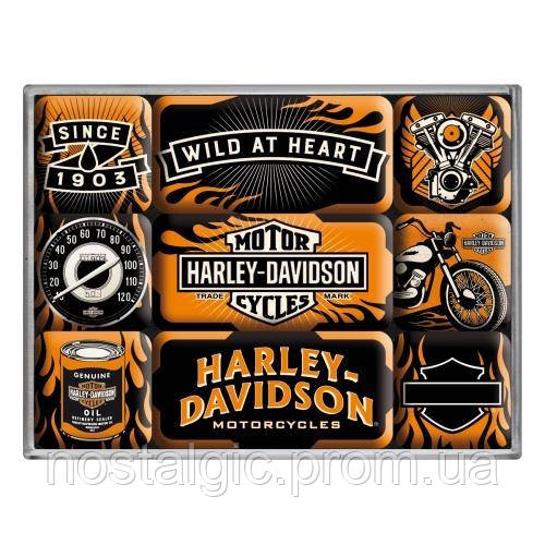Набір з 9 магнітів Ностальгічне-Art Harley-Davidson Wild (83096)
