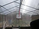Теплиця Мітлайдер 4х10 стандарт 10 мм, фото 6