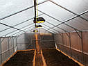 Теплиця Мітлайдер 4х10 стандарт 10 мм, фото 7
