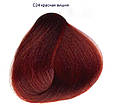 SanoTint Фарба для волосся Класик, вишня, фото 2