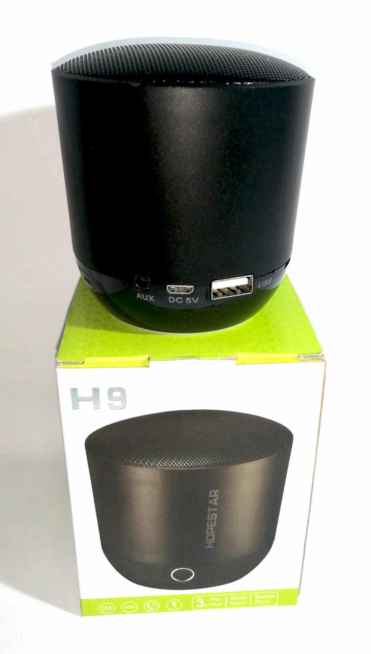Мобільна колонка Hopestar H9