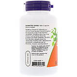 Now Foods, Корінь кульбаби, 500 мг, 100 рослинних капсул, фото 2