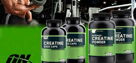 Креатин Creatine Creapure Powder Optimum Nutrition 300g, фото 2