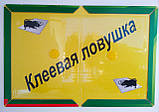 Клейова пастка книжка HENCO з приманкою від мишей і щурів Мала 17*24 см якість, фото 3