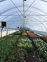 Теплицы отапливаются тепловентиляторами Volcano. Благодаря воздушному отоплению в теплице создаётся комфортная среда для выращивания цветов.