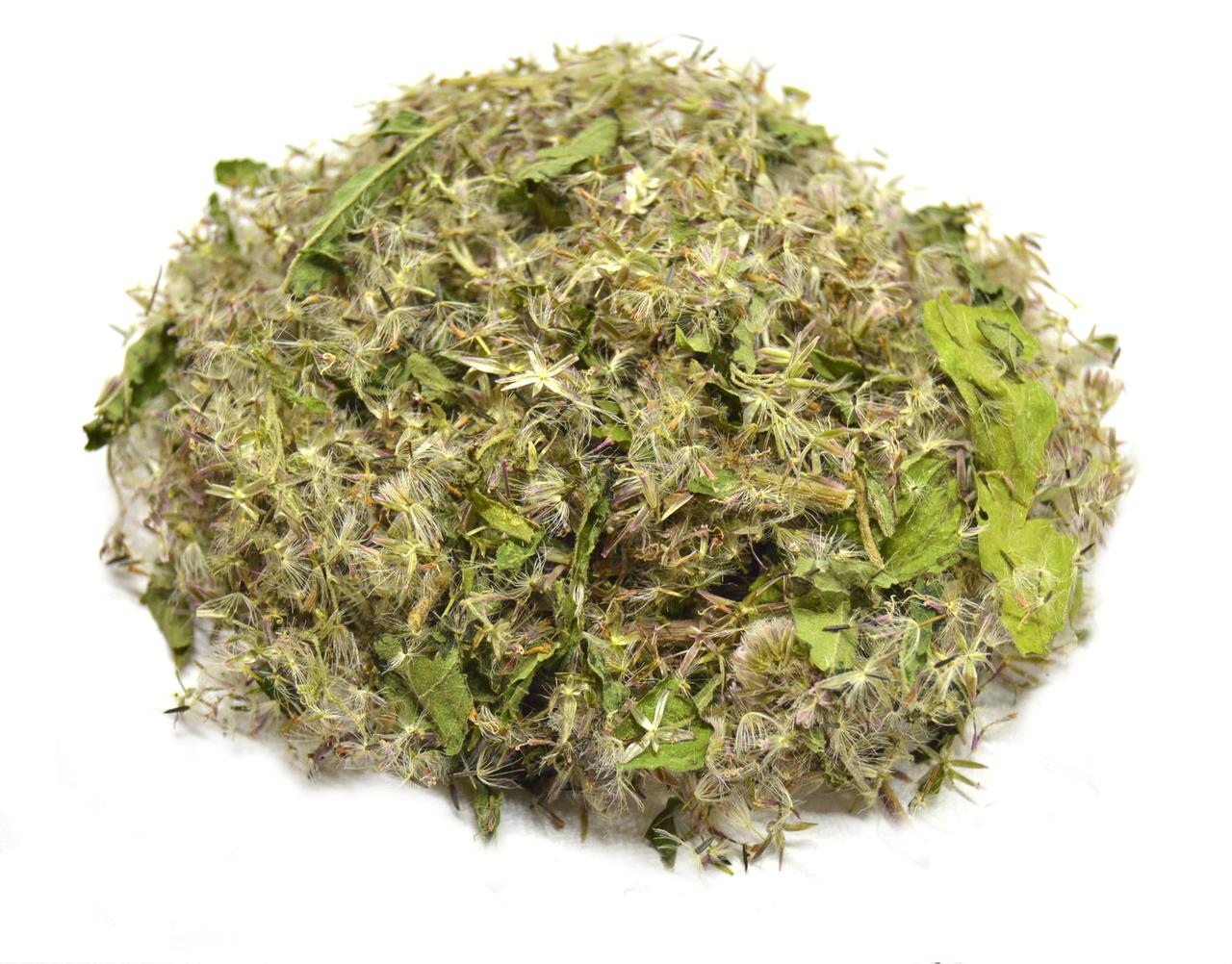 Сідач трава