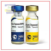 Вакцина Eurican DHPPI+2L (Еурикан ДШППІ+2Л) проти чуми для Собак — 1 доза