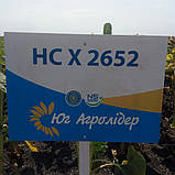 Насіння соняшнику НС Х 2652 Екстра Юа Агролидер, фото 3