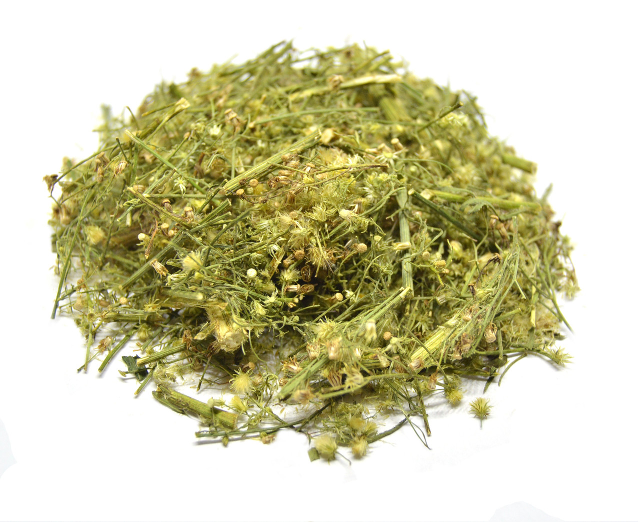 Пушняк канадський трава (ЗАТКНИ ГУЗНО), фото 1