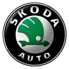 Рейлінги і багажники на Skoda