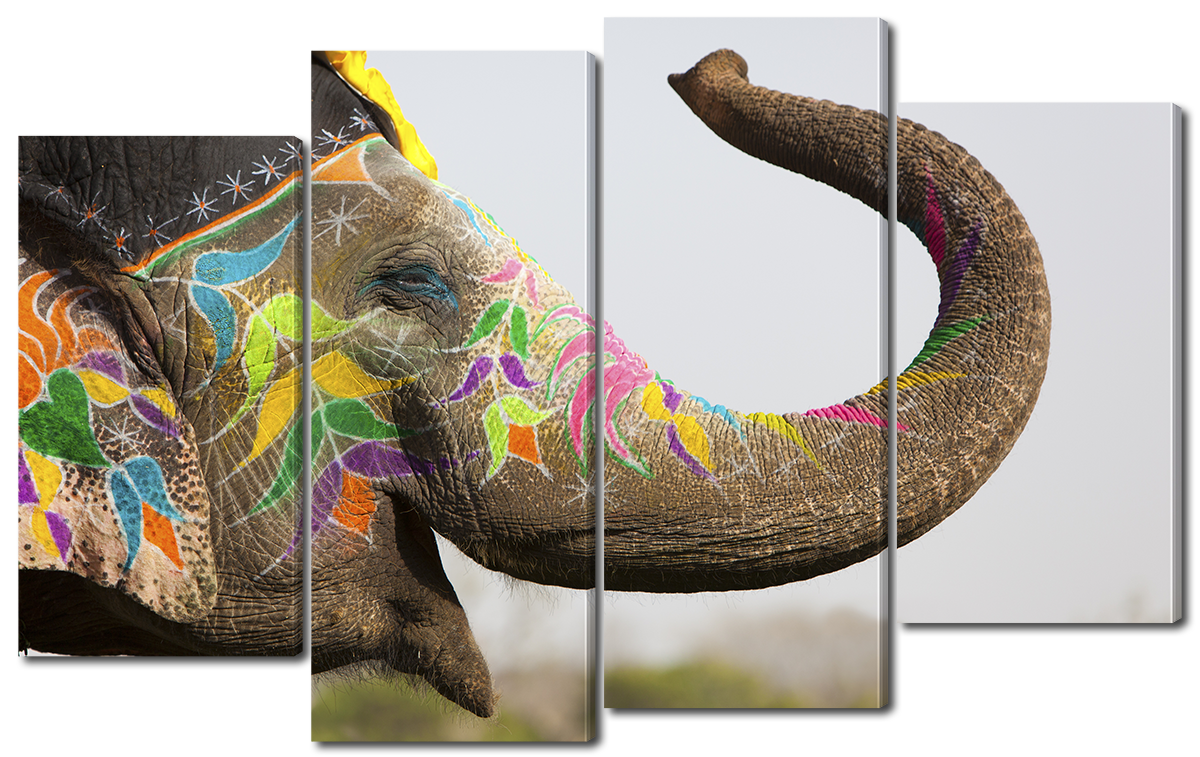 Модульна картина Interno Екошкіра Індійський слон 114х69см (A3510М)