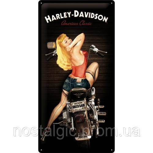 Металева Табличка Harley-Davidson | Ностальгічне-Art 27016