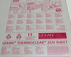 Стільниковий полікарбонат Lexan Thermoclear 8мм прозорий 2UV 2100х6000мм, фото 2