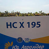 Насіння соняшнику HC X 195 Стандарт Юа Агролідер, фото 3