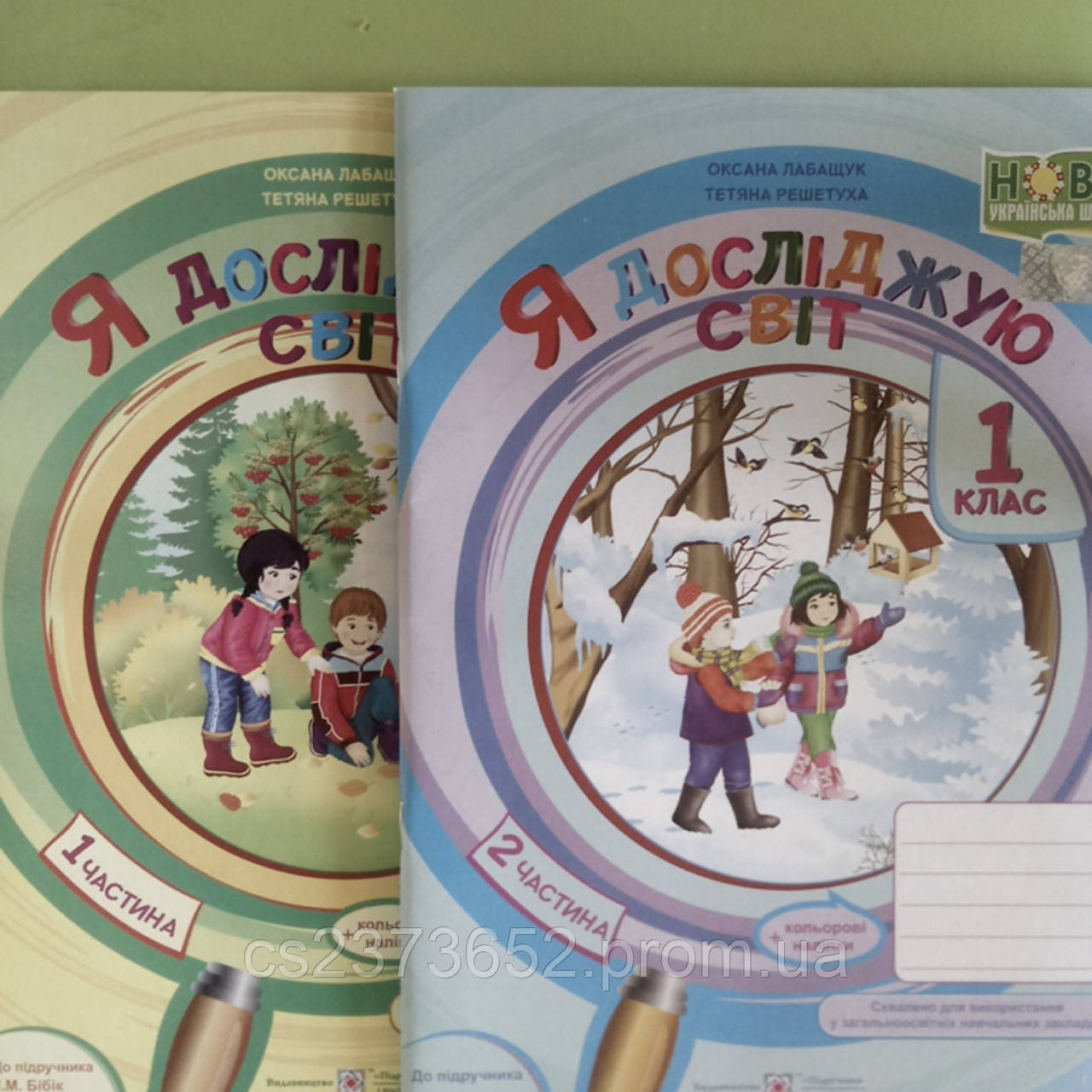Я досліджую світ 1 клас робочий зошит