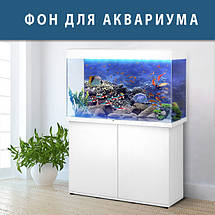 Морська Флора наклейка в акваріум 40х65 см, фото 3