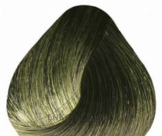 Стійка фарба для волосся VITALITY'S Art Absolute 100 мл Green — Зелений мікстон