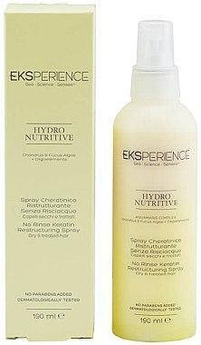 Спрей для живлення волосся REVLON Experience Hydro Nutritive Spray 190 мл, фото 1