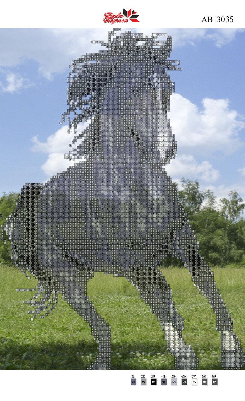 Алмазна вишивка АВ 3035 часткова зашивання (25,3*35,2 см)